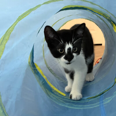 Hamish_may_31_2025