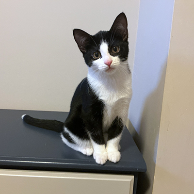 Callie_Feb_21_2026