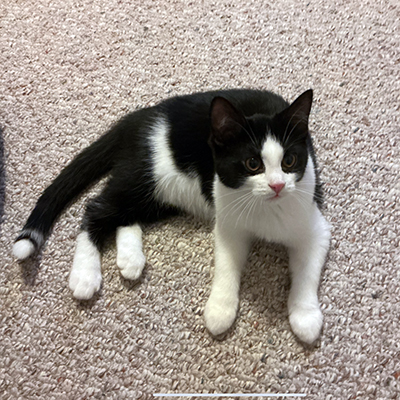 Chloe_Feb_21_2026