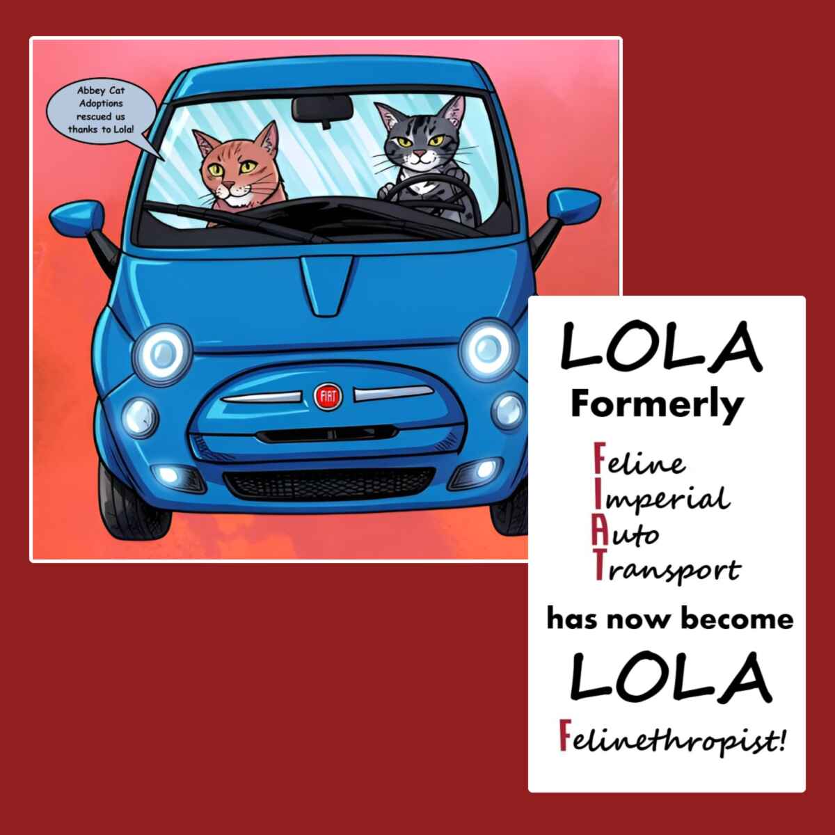 Image and text credit to Lola-the-Fiat’s donor, Anna 